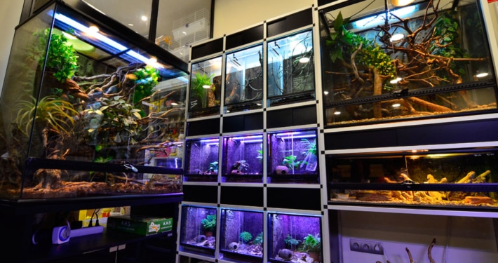 acuario y terrario tienda animales