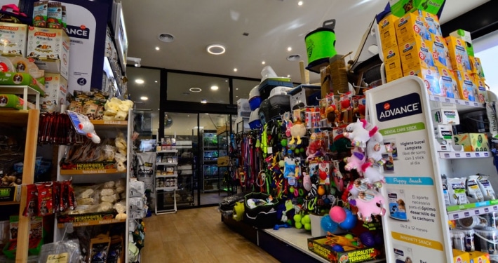 tienda de animales accesorios alimentacion pinto