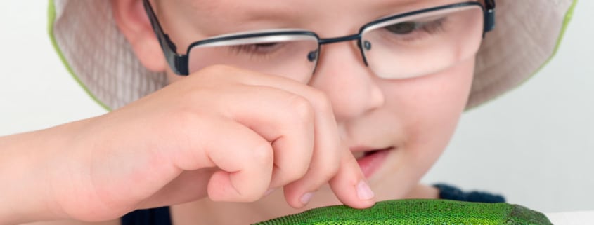 NIño jugando con lagarto