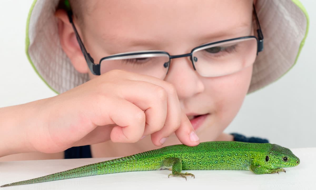 NIño jugando con lagarto