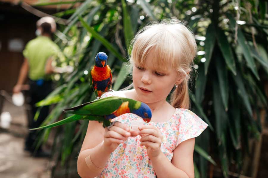 lori arcoiris con niños